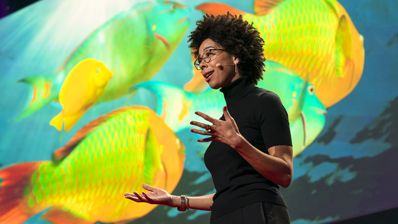 Ayana Elizabeth Johnson