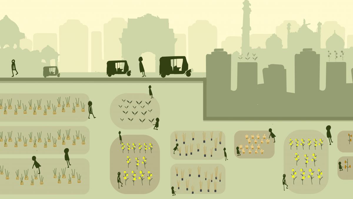 graphic of fields and edge of city