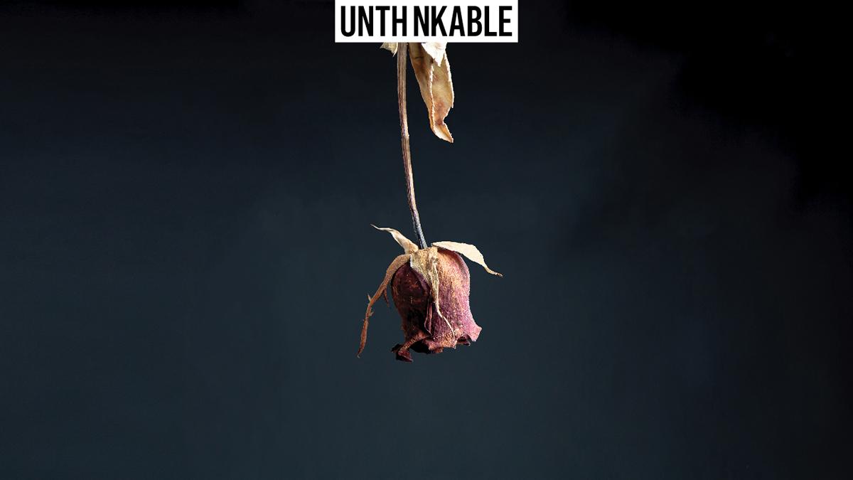 beautiful ageing rose