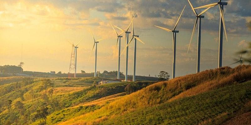 photo of wind generators on a hill