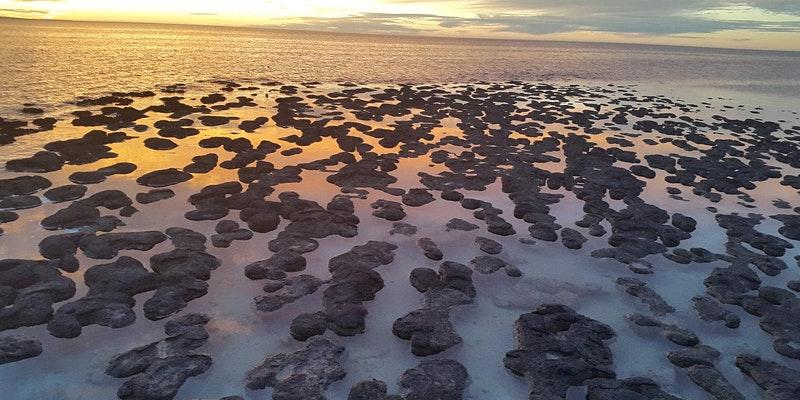 photo of rocks along a beach
